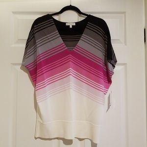NWT V-Neck Dolman Sleeve Top
